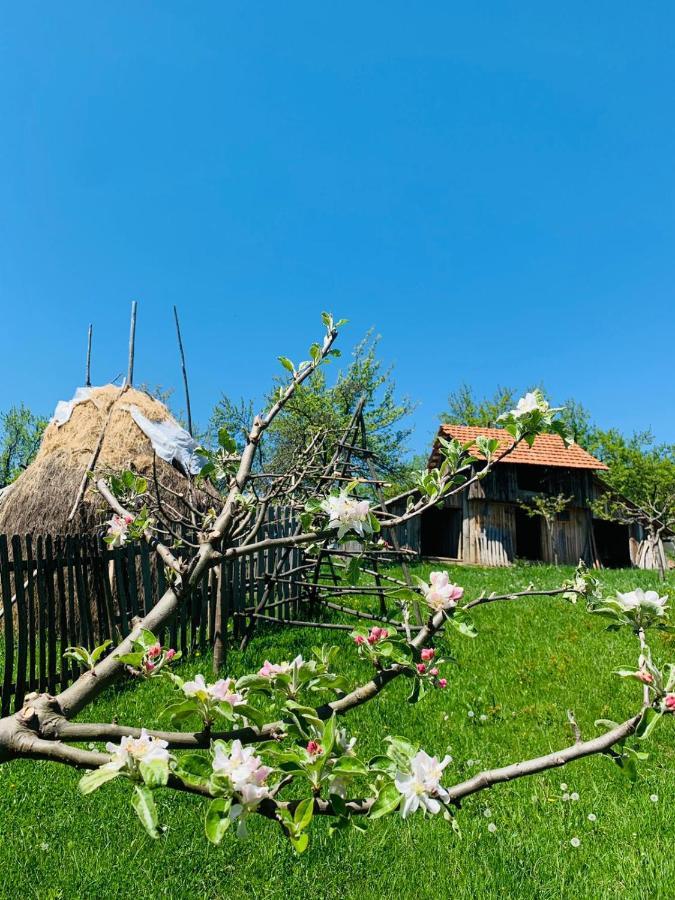 מלון Corbi The Story Garden מראה חיצוני תמונה